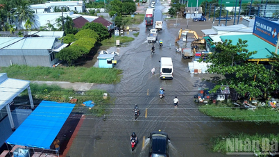 [រូបថត] Ca Mau "តស៊ូ" ដើម្បីទប់ទល់នឹងជំនោរខ្ពស់បំផុតនៃឆ្នាំនេះ ដែលព្យាករណ៍ថានឹងលើសពីកម្រិតប្រកាសអាសន្ន 3