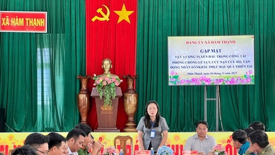 Ham Thanh commends frontline forces in disaster prevention