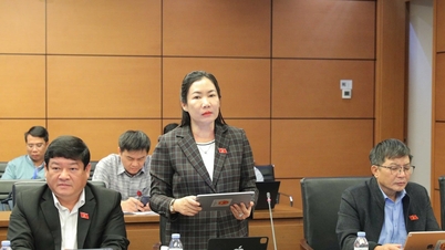 Afișează informații despre cazierul judiciar pe VNeID