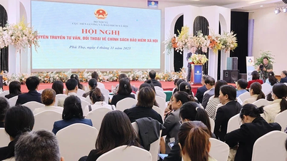 Sosyal sigorta politikaları konusunda danışmanlık ve diyalog