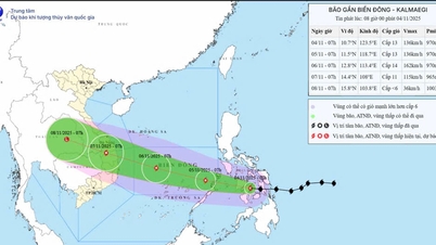Lam Dong reagiert proaktiv auf Sturm KALMAEGI