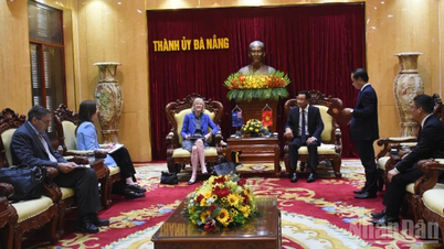 Partisekretæren i Da Nang by, Le Ngoc Quang, mottok den australske ekstraordinære og befullmektigede ambassadøren i Vietnam.