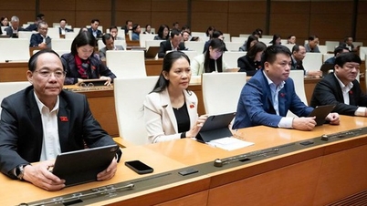 Odhadovaný příjem 17 milionů VND/měsíc, bez nutnosti platit daň z příjmu fyzických osob