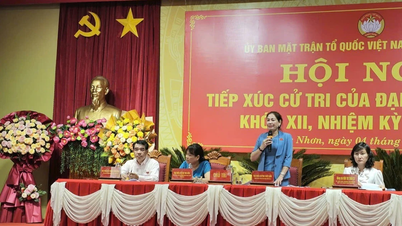Wakil Ketua Dewan Rakyat Provinsi Huynh Thuy Van bertemu dengan para pemilih di distrik Quy Nhon