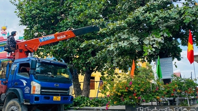 Der Bezirk Dong Ninh Hoa reagiert proaktiv auf Stürme.