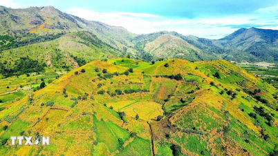 Vad napraforgó hete - Chu Dang Ya vulkán 2025: Gia Lai kulturális turisztikai látványossága