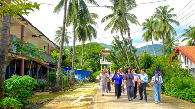 Wakil Ketua Komite Rakyat Provinsi Nguyen Thi Thanh Lich mensurvei tempat-tempat wisata di distrik Quy Nhon Nam.