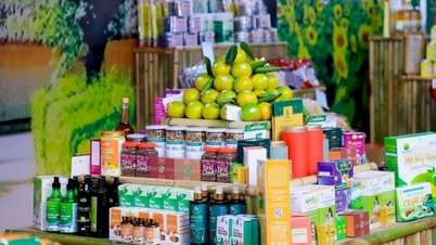 Innovatie in denken voor OCOP om wereldwijd te kunnen opereren