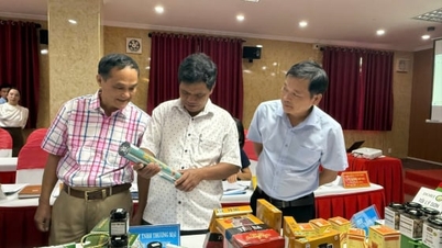 ខេត្ត Quang Ngai៖ ការទទួលស្គាល់ផលិតផលចំនួន 7 បំពេញតាមស្តង់ដារ OCOP ផ្កាយ 4 ដំណាក់កាលទី 1 ឆ្នាំ 2025
