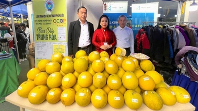 La persona que trajo su "creación" para participar en el programa OCOP