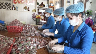 Dong Thap: Περισσότερα από 1.000 προϊόντα πέτυχαν OCOP 3 αστέρια ή περισσότερα