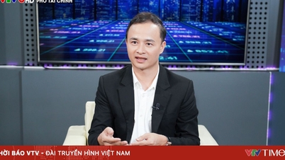 Der Inlandsmarkt ist nach wie vor die "Stütze" des vietnamesischen Wertpapiermarktes.