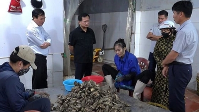 ហានិភ័យនៃការបំពុលពីរោងចក្រកែច្នៃអាហារសមុទ្រនៅ Van Don