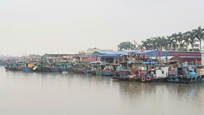 Hai Phong lanserar toppmånad mot IUU-fiske