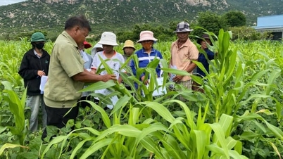 Zorganizoval/a 283 kurzů integrované ochrany proti škůdcům pro zemědělce