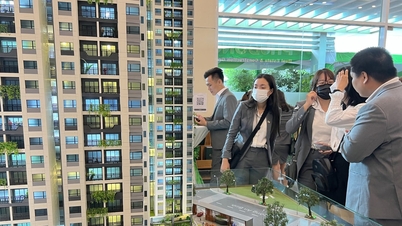 Nesten 8 milliarder dollar i pengeoverføringer strømmet inn, vietnamesere i utlandet økte investeringene i innenlandsk eiendom