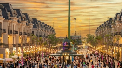 Van smal steegje naar nieuwe straat - Welke investeringskeuze levert duurzame waarde op?