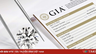 Η Tierra Diamond είναι σίγουρη για την πολιτική επιστροφής χρημάτων της: «Διαμάντια υψηλής ποιότητας - Εγγυημένες τιμές»