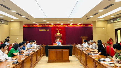 প্রাদেশিক পার্টির সম্পাদক থাই দাই নোক: নির্বাচন প্রক্রিয়ার সময় অভিযোগ এড়িয়ে চলুন