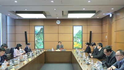 Melengkapi peraturan tentang tindakan terlarang mengungkapkan atau membocorkan informasi catatan kriminal elektronik milik orang lain