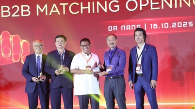 การทำให้ดานังเป็นศูนย์กลางการจัดงาน การประชุม และการท่องเที่ยวชั้นนำในภูมิภาค