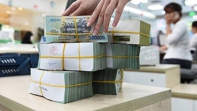 NHNN dự thảo Thông tư mới quy định tỷ lệ bảo đảm an toàn trong hoạt động tổ chức tài chính vi mô