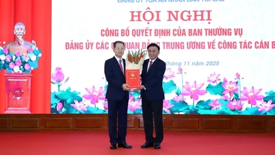 Wakil Inspektur Jenderal Pemerintah memegang jabatan Sekretaris Komite Partai Mahkamah Rakyat Agung