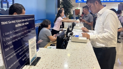 태호행정서비스센터 지점 온라인 공공서비스 모델 효과적 구현