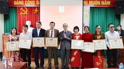 Sdružení nevidomých provincie Bac Ninh šíří vlastenecké hnutí naděje