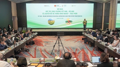 Вьетнам и Ирландия сотрудничают в целях преобразования агропродовольственной системы.