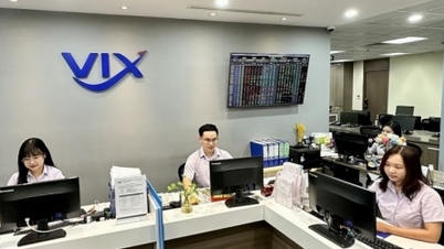 Las acciones del VIX cayeron un 34% en quince días, con una pérdida de capitalización de más de 20 billones de VND.