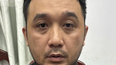 מעצר בתיק הימורים, התגלה מבוקש פליט