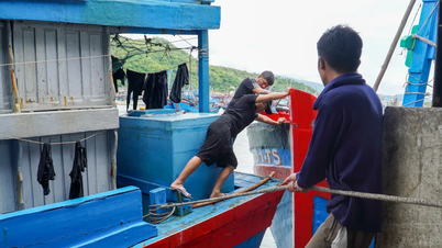 Khanh Hoa: Die Bevölkerung reagiert proaktiv auf den Sturm Kalmaegi