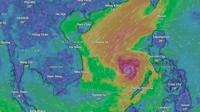 Chủ động phòng tránh, ứng phó với bão Kalmaegi