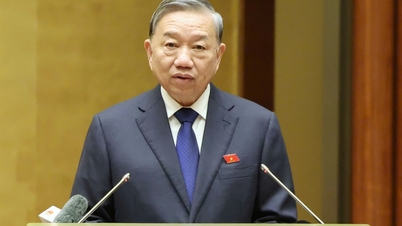 Secretarul general: „Către un sistem juridic ușor de reținut, ușor de înțeles, ușor de implementat”