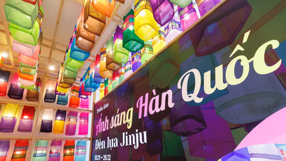 نزدیک به ۱۳۰۰ فانوس ابریشمی جینجو در هانوی می‌درخشند