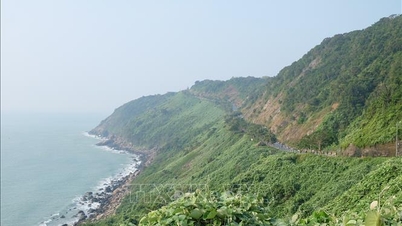 דא נאנג: המשך השעיה זמנית של ביקורים בחצי האי סון טרה כדי להבטיח את הבטיחות