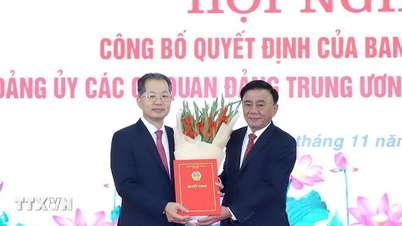 Komrad Nguyen Van Quang memegang jawatan Setiausaha Jawatankuasa Parti Mahkamah Agung Rakyat.