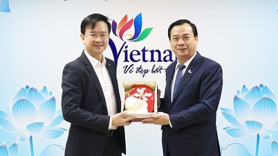 Cục trưởng Nguyễn Trùng Khánh tiếp và làm việc với Lãnh đạo cấp cao Hiệp hội vận tải Hàng không quốc tế (IATA)