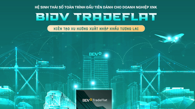 BIDV TradeFlat - ithalat-ihracat işletmelerinin atılım yapmasına yönelik çözüm