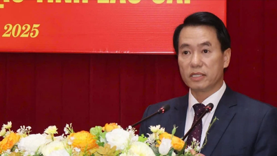 Nombramiento del Director del Departamento de Educación y Formación de la provincia de Lao Cai