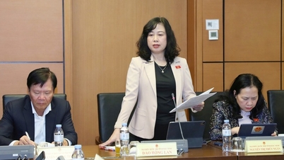 Sağlık Bakanı Dao Hong Lan, 14. Ulusal Parti Kongresi'ne sunulan taslak belgeye ilişkin değerlendirmelerde bulundu.