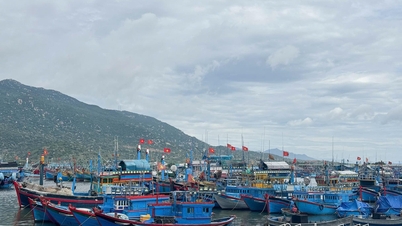 Komune Ca Na secara proaktif menanggapi badai Kalmaegi