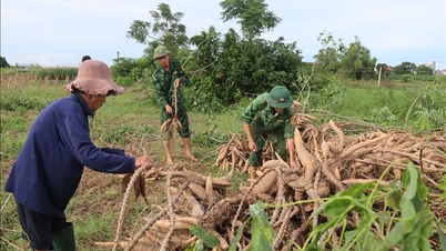 Ajutați oamenii să recolteze produse agricole în zonele inundate
