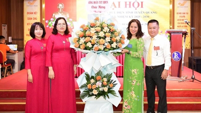 6. sjezd provinčních poštovních odborů, funkční období 2025–2030