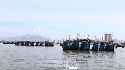 Ensuring safe conditions for ships and boats to anchor and take shelter from storm Kalmaegi
