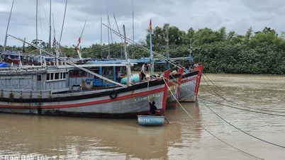 24 Dak Lak fishing boats are operating in the storm-affected area.