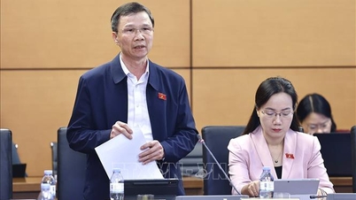 Este nevoie de o direcție pentru protejarea suprafeței minime naționale cultivate cu orez.