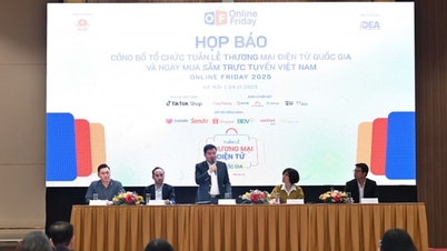 Khuyến mại đến 100% tại Tuần lễ thương mại điện tử quốc gia 2025