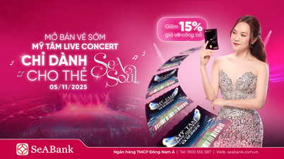 Hướng dẫn mua vé Mỹ Tâm Live Concert See The Light với thẻ SeASoul
